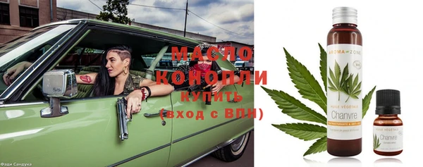мет Дмитров
