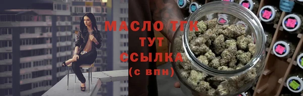 индика Гусь-Хрустальный