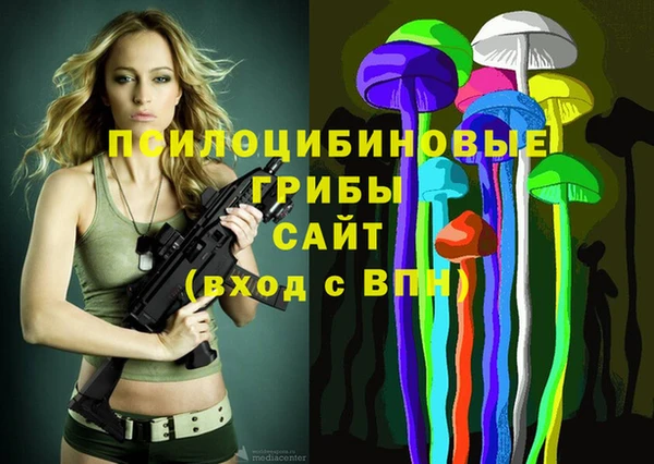 spice Гусев