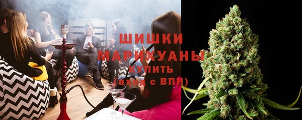мет Дмитров