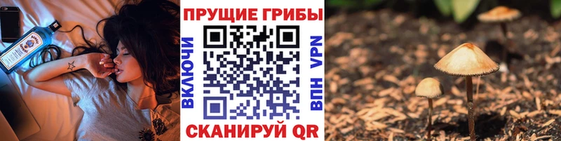 Купить  Красноуральск  Псилоцибиновые грибы мицелий 